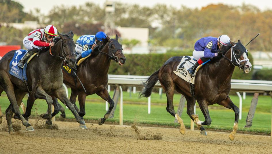 Cigar Mile Handicap, Aqueduct, Accretive, Dr Ardito, Everso Mischievous, Forty Niner Stakes, Eclipse Sportswire
